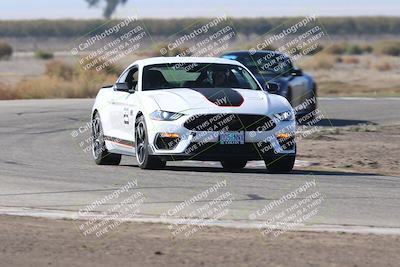 media/Nov-01-2025-PCA Central Coast (Sat) [[5e27ded23e]]/White Group/Grapevine/